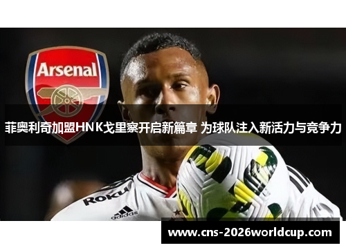 菲奥利奇加盟HNK戈里察开启新篇章 为球队注入新活力与竞争力 菲奥利奇加盟HNK戈里察开启新篇章 为球队注入新活力与竞争力