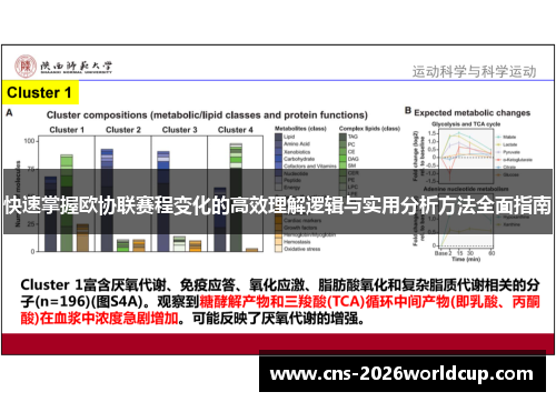 快速掌握欧协联赛程变化的高效理解逻辑与实用分析方法全面指南 快速掌握欧协联赛程变化的高效理解逻辑与实用分析方法全面指南